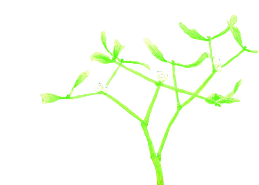 Postkarte mit Aquarell einer Mistel.